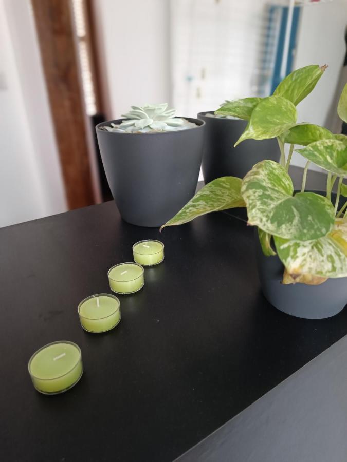 Escapade Blesoise Apartment Blois Ngoại thất bức ảnh